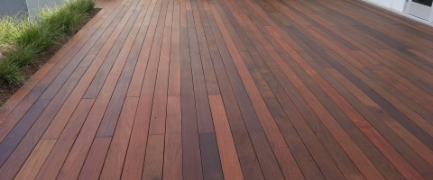 Stained new IPE deck