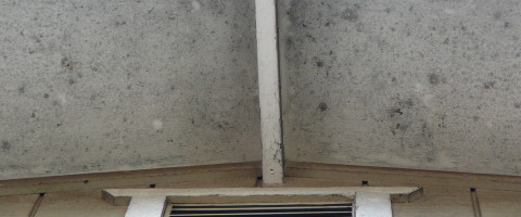 Eaves with mold