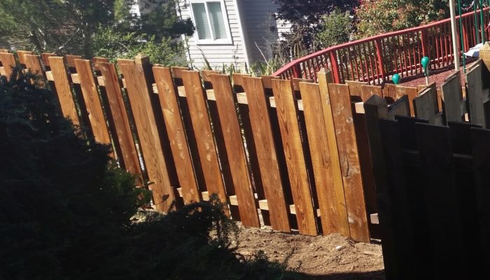 Redwood after before restoring