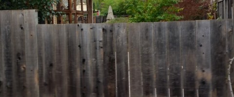 Redwood fence before restoration
