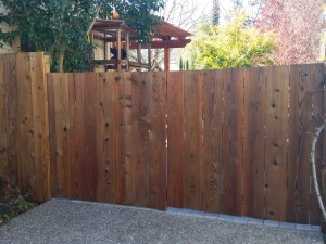 Redwood fence after restoration