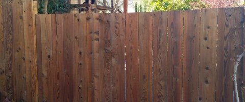 Redwood fence after restoration